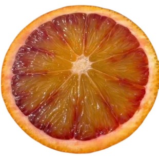 长寿湖血脐橙塔罗科包邮重庆特产新鲜现摘现发红心礼箱装