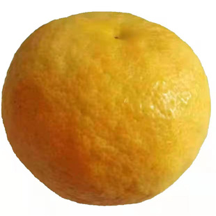 湖北湖南酸臭皮柑抛柑泡酒酸柑子孕妇水果