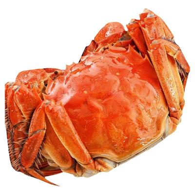 3斤装净重九指大纵湖大闸蟹超大鲜活断脚蟹断腿蟹四两公 三两母起