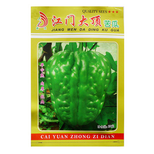 广东江门大顶苦瓜种子春季秋季夏季瓜果菜籽肉厚杜阮凉瓜种籽种孑