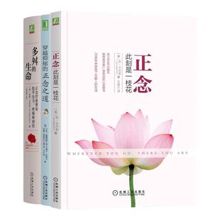 套装 官网正版 卡巴金心理学作品集套装全3册 正念 此刻是一枝花+多舛的生命+穿越抑郁的正念之道 正念减压心灵疗愈心理学书籍