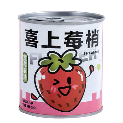 新款手提袋种植罐头儿童老师六一节日礼物盲盒玩具活动赠品小礼品