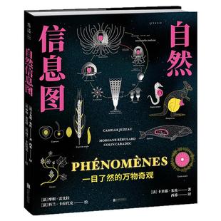自然信息图：一目了然的万物奇观  跨越自然与人文10个领域，124个主题。生僻、冷门、迷人，揭开世界上少为人知的秘密。