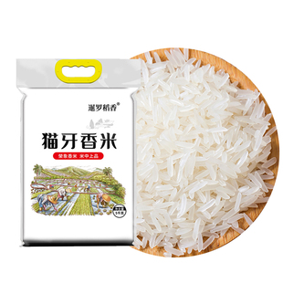 正宗猫牙香米大米广西寿乡上林特产香米农家晚稻籼米新米细长10斤