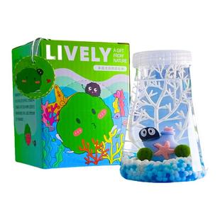 marimo马里莫海藻球微景观生态瓶创意植物礼物水培球藻半岛礼盒