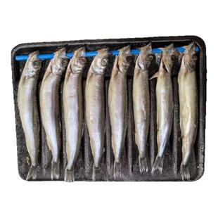 大规格满籽多春鱼鲜活冷冻人吃煎炸深海带籽鱼海鲜水产烧烤食材