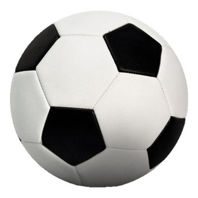 Richball足球训练比赛专用中小学生儿童成人加厚耐踢45号足球