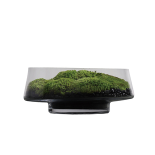 天青苔绿 新中式大口玻璃花器永生苔藓 样板间客厅卧室洽谈桌摆件