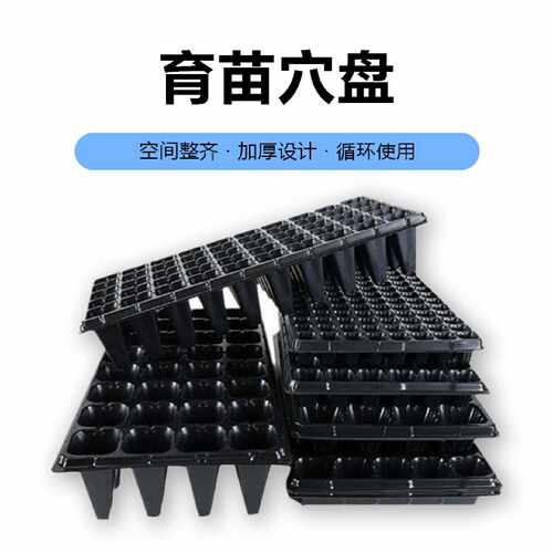 加深林木专用穴盘育苗盒苗木多肉育苗箱育苗盆种植盘穴盆盘育苗穴