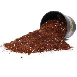 钱串子专用土营养土盆栽土养花种花土通用型家用种植土壤有机肥料