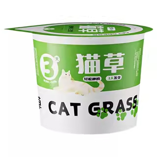 懒人猫草盆轻松猫草盆栽养植助懒人水化培盆子猫薄猫咪零荷食用品