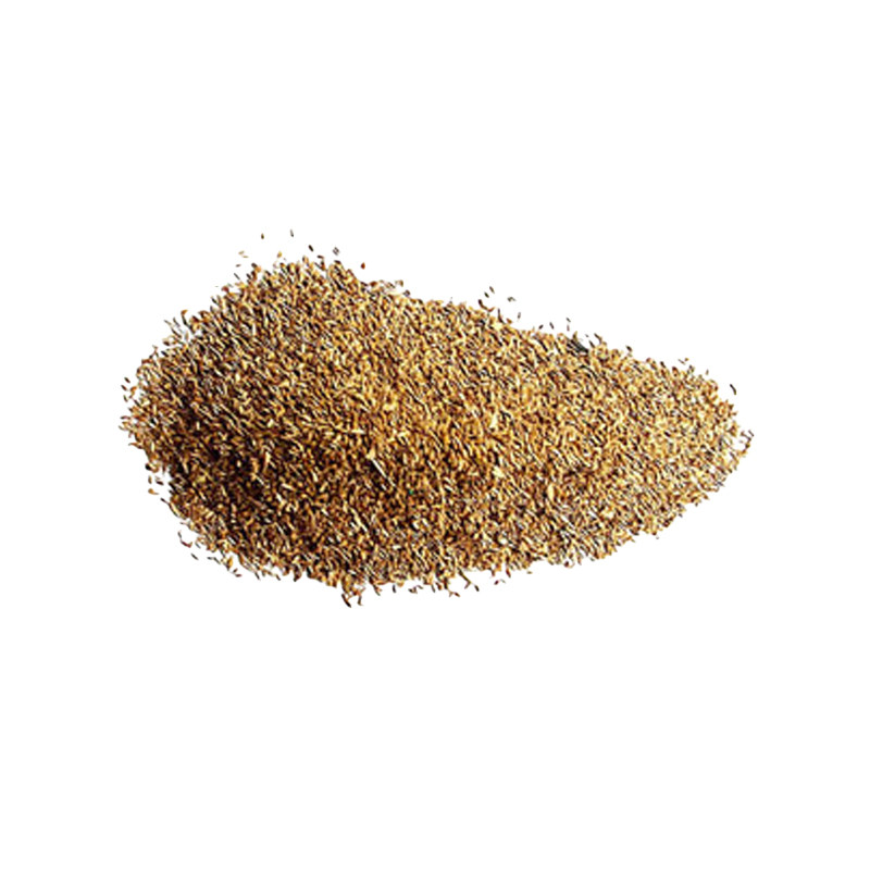 台湾2号草籽草坪种子台湾草草种耐高温耐践踏庭院公园绿化免修剪