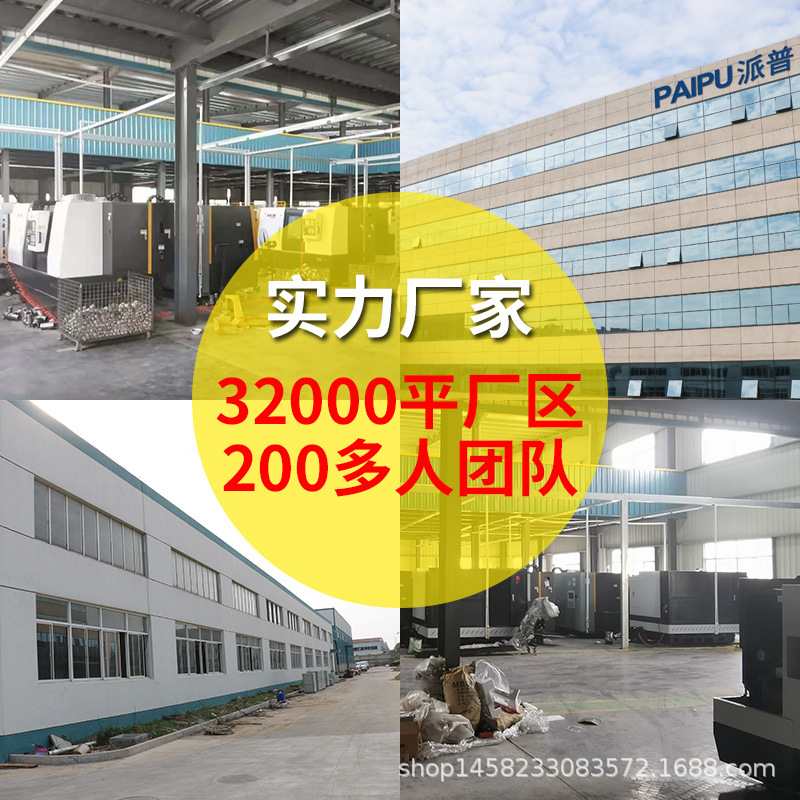 派普商用大功率不锈钢灌肠超市肉铺用打碎肉酒店切肉切片肉机绞肉