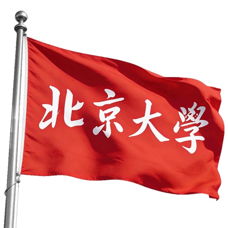 旗帜定制各类旗帜班旗定做运动会队旗校旗团旗导游旗手摇旗彩旗户外爬山应援大旗音乐节毕业装饰团建广告彩旗