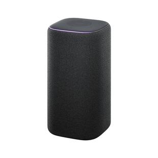 小米 智能音箱pro 超级小爱同学ai大模型蓝牙音响红外遥控家用