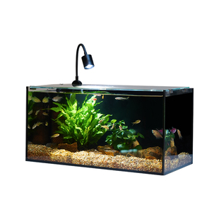 桌面鱼缸溪流造景三湖缸原生缸南美缸自循环草缸家用全套超白玻璃