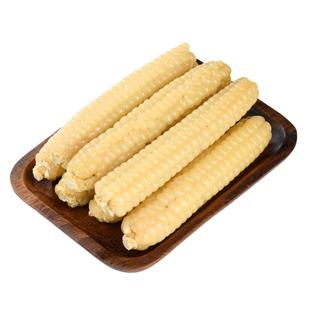 正宗云南西双版纳香糯拇指玉米手指小玉米新鲜真空儿童玉米礼盒装