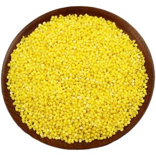 新糯大黄米 农家自种黏黄米粘糯高粱小米包粽子五谷杂粮 5斤