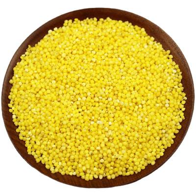 新糯大黄米山西农家自种黏黄米