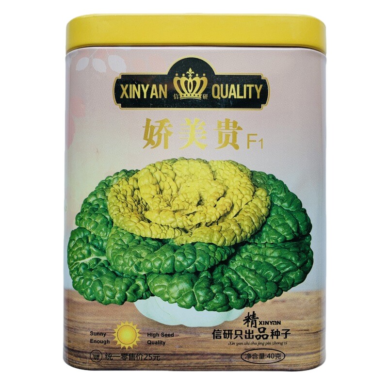 特选娇美贵黄心乌种子卷心菜乌塌菜籽黄心乌黄心白菜菊花菜黄金菜