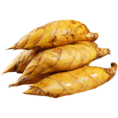 现挖现发丨新鲜冬笋！脆嫩爽口！