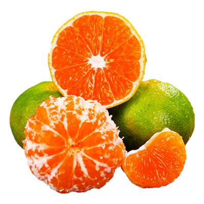 宜昌蜜橘特早熟桔子新鲜水果