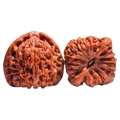 山地老树文玩核桃南疆石狮子头