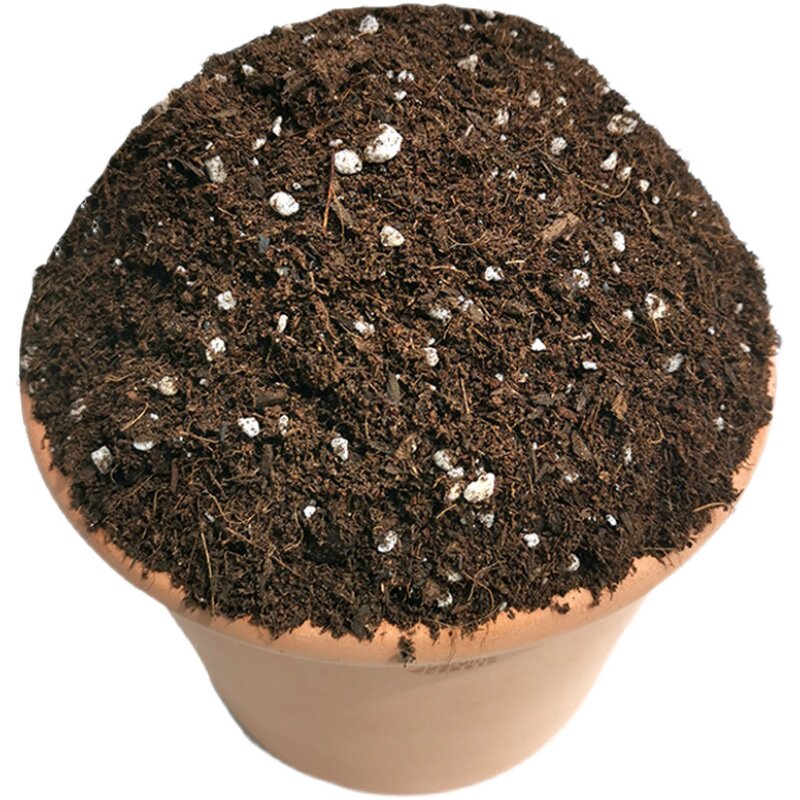彩乐植果蔬营养土种菜草莓盆栽