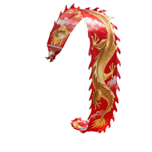 广场舞专用彩带舞龙龙身成人绸布彩龙龙舞龙彩带训练比赛演出道具