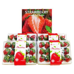【顺丰】大凉山草莓新鲜现摘露天奶油红颜冬草莓应季孕妇水果年货