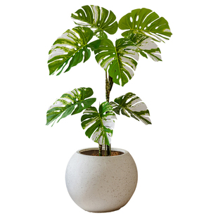 掬涵北欧镁泥花盆简约圆球型透气大花器轻奢高级几何客厅摆件装饰