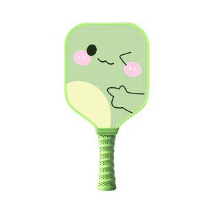 LIDAK儿童匹克球拍板小学生专用碳纤初学者Pickleball匹克球全套