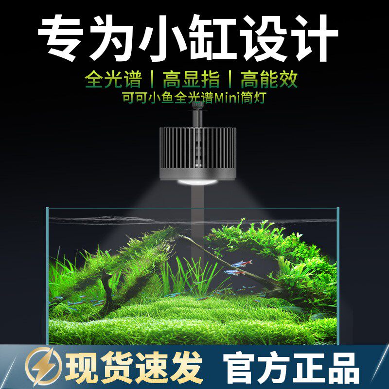 鱼缸灯LED迷你全光谱溪流原生缸金鱼兰寿泰狮爆藻出苔灯支架筒灯