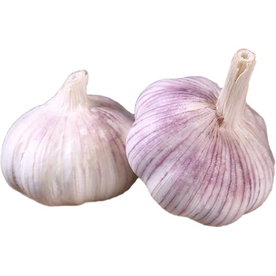 正宗金乡干蒜5斤包|超2000次加购