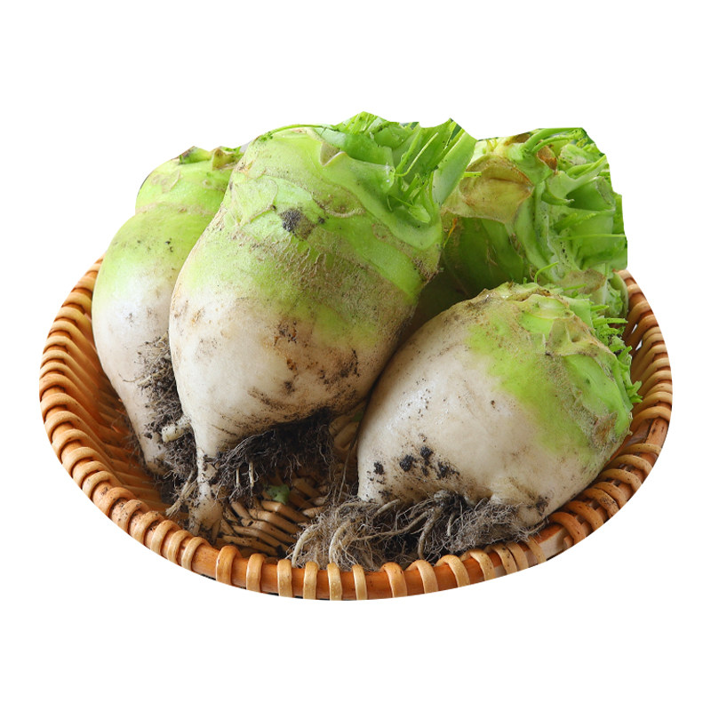 新鲜芥菜疙瘩农家现挖发货