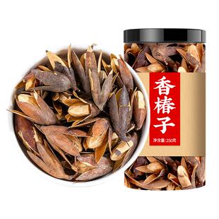 香椿铃中药材食用香椿籽红叶香春树籽子香玲子香椿树籽野生香椿玲