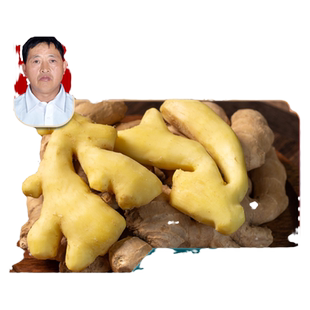 怀府缘生姜焦作博爱特产小黄怀姜老姜现挖月子姜嫩姜5斤礼盒包装