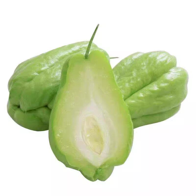 苗佛手瓜带芽种子四季盆栽