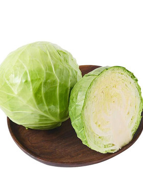 有机绿甘蓝新鲜卷心菜大头圆白菜