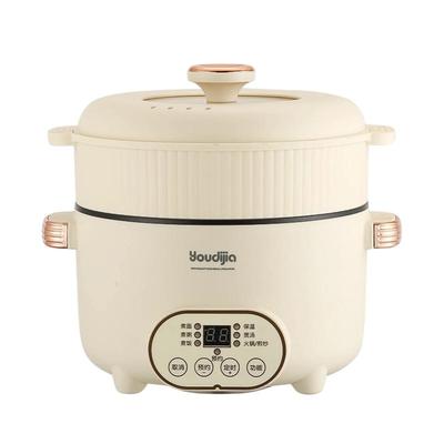 110V国外专用多功能电煮锅