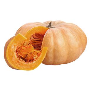 磨盘南瓜种子超甜面春夏四季倭瓜种子高产大田蔬菜种子阳台盆栽