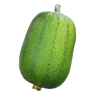 台湾苹果丝瓜种子高产粗直筒厚肉菜瓜水瓜籽种春四季种植蔬菜种籽