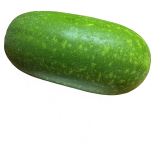 四季青皮满地爬小冬瓜种子早熟老品种精品小型冬瓜种籽迷你毛节瓜