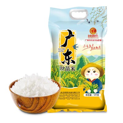 广东丝苗米煲仔饭南方大米