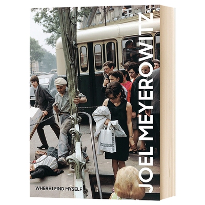 英文原版 Joel Meyerowitz Where I Find Myself 乔尔·迈耶罗维茨 如果我发现自己 摄影作品合集 英文版