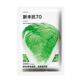 夏播山东大白菜种孑老品种耐热白菜种子大全四季东北饭包秋白菜子