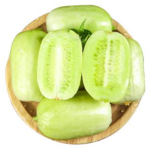 玉女黄瓜种子大全新品种脆甜水果黄瓜种子四季阳台盆栽蔬菜种子籽