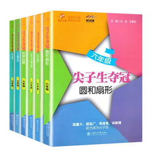 交大之星尖子生夺冠 六七八九年级 一元二次方程二次根式直角三角形四边形一次函数反比例函数 初一初二678数学专项训练题压轴刷题