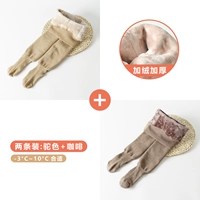 (-3 ~ 10 ° C плюс бархат) 2 установка камеля+кофе