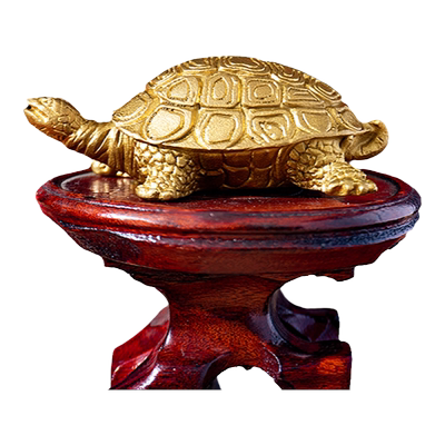 【小红书推荐】脚踩金龟一生富贵